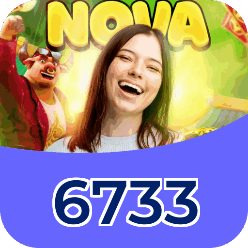 6733